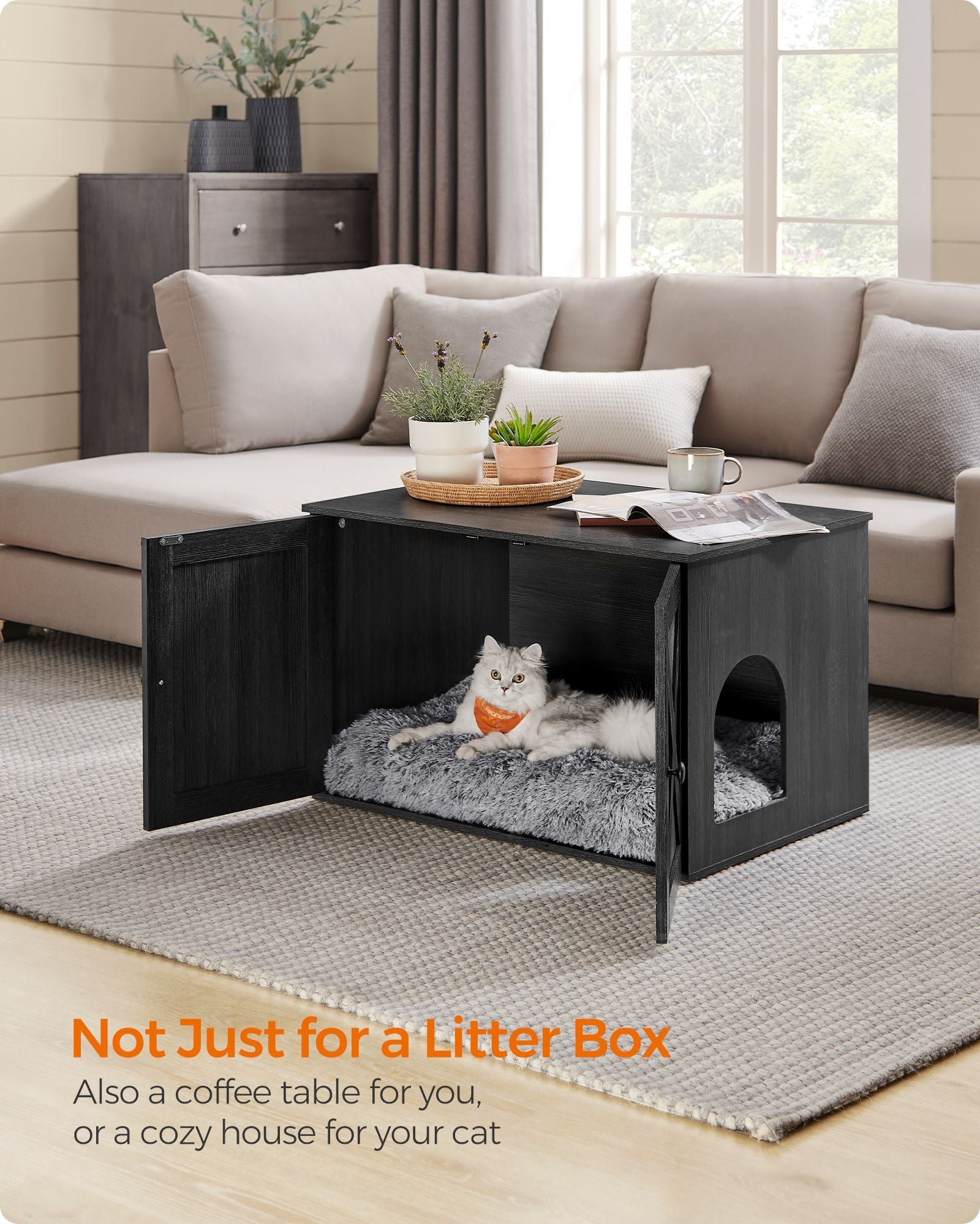 Cat Litter Box Enclosure with Removable Divider