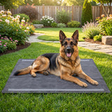 35.5" x 24" Charcoal?Dog Pee Pads 6-Layer for Dogs-Black