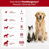 Pawmergency Activated Charcoal Pet First Aid Kit –Poison Rescue 2 Pack (30ml)