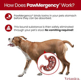 Pawmergency Activated Charcoal Pet First Aid Kit –Poison Rescue 2 Pack (30ml)