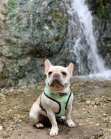 Muddy Paws Reversible Harness