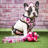 Fairytail Reversible Harness