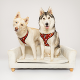 Pawgwarts Everyday Adjustable No-Pull Dog Harness