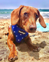 Red, White & Bark Reversible Harness