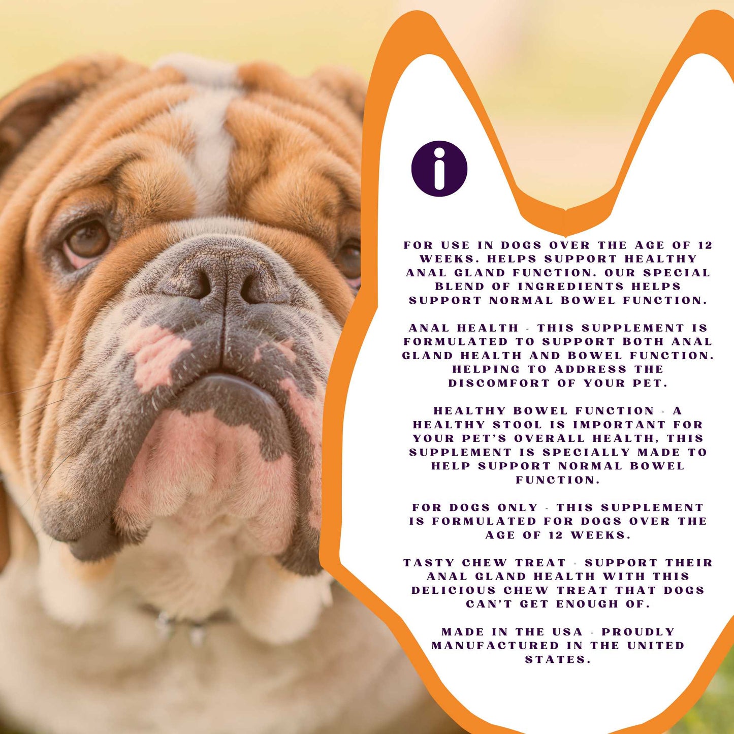 PiccardNaturePets No Stinky Butt Anal Gland Support 120ct Chews + FREE Bandana!