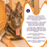 PiccardNaturePets Stop Now! No Chewing Pet Training Spray 8 oz. + FREE Glow in the Dark Bandana!