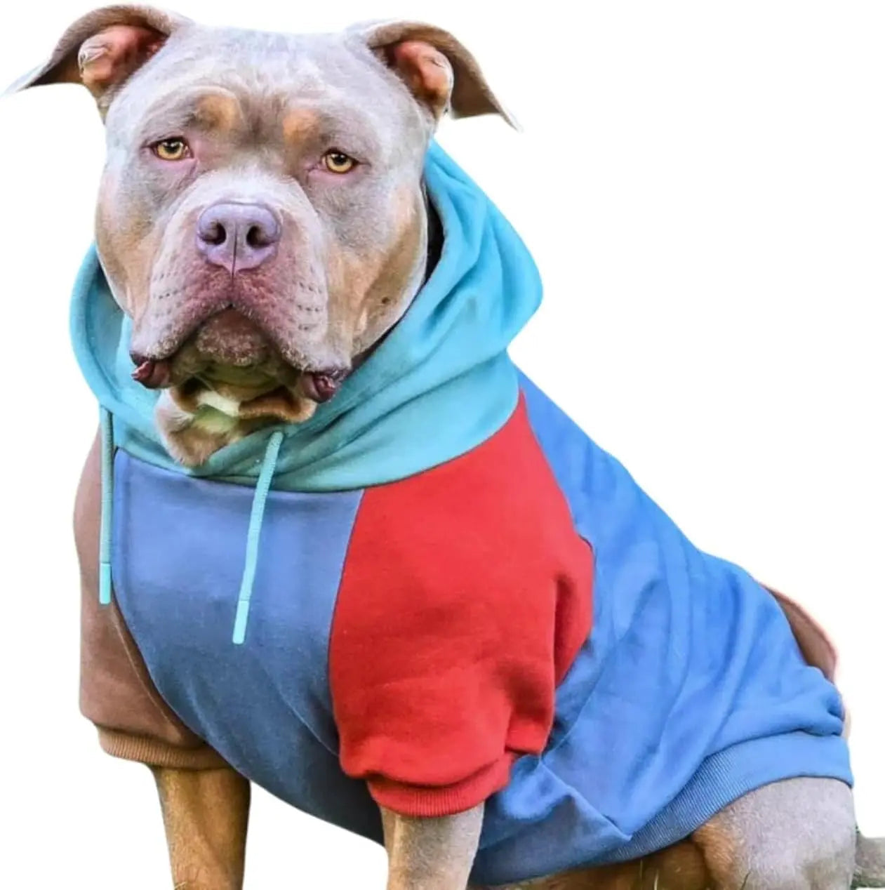Premium Dog Hoodie – Soft Fleece Stretch Hoodie for Small to Large Dogs S–5XL