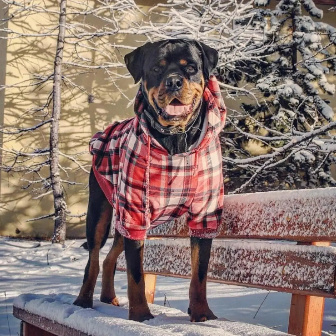 Premium Dog Hoodie – Soft Fleece Stretch Hoodie for Small to Large Dogs S–5XL