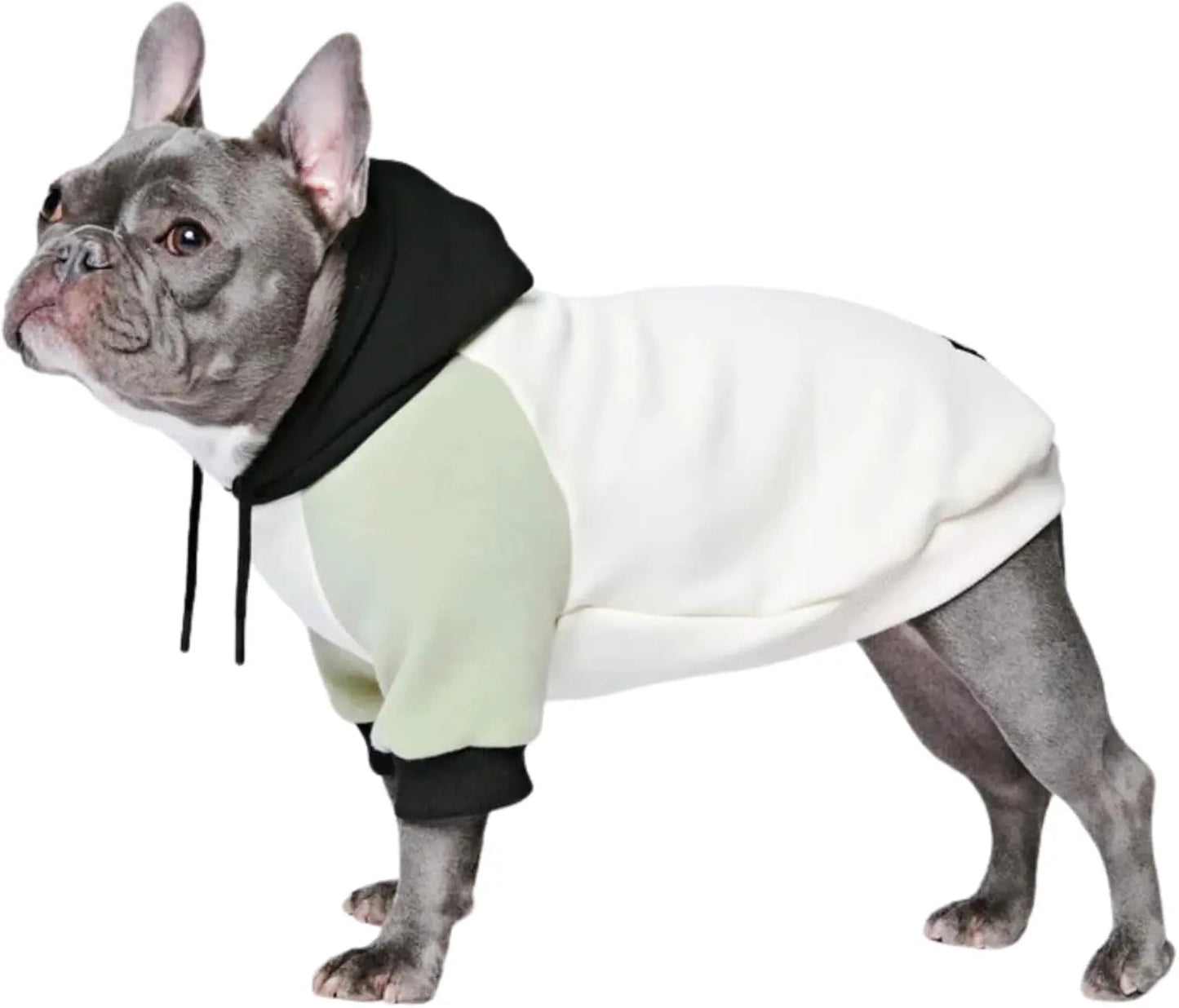 Premium Dog Hoodie – Soft Fleece Stretch Hoodie for Small to Large Dogs S–5XL