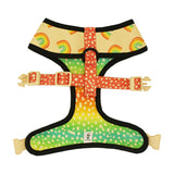 Chasing Rainbows Reversible Harness