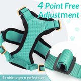 Cat Harness and Leash – Soft Adjustable Escape-Proof Vest for Walking Cats