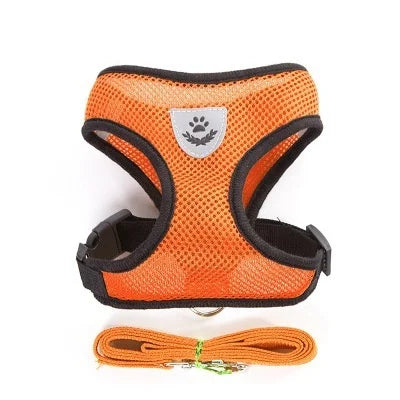 Adjustable Leash for Cat or Dog