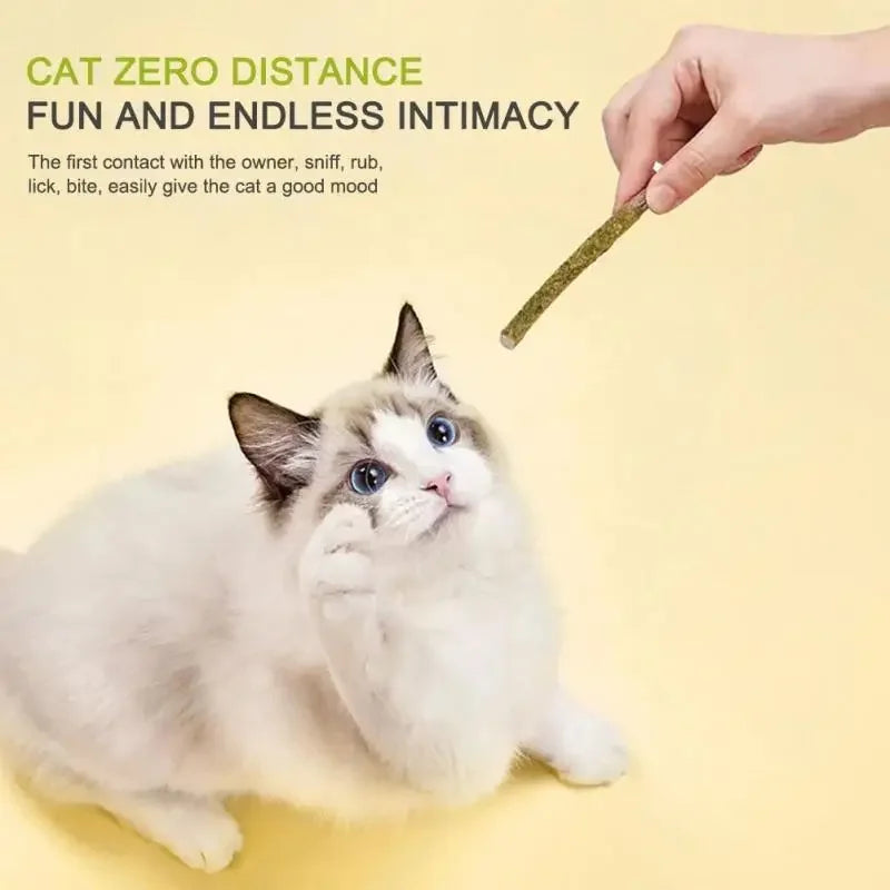 6PCS Natural Matatabi Cat Sticks – Silvervine Teeth Cleaning Treat & Cat Chew Toy