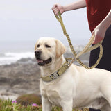 The Tactical Luxe Collar & Leash