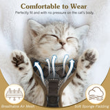 Cat Harness and Leash Set for Safe Adventures