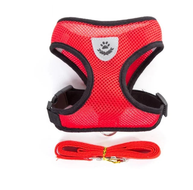 Adjustable Leash for Cat or Dog