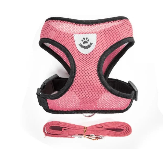 Adjustable Leash for Cat or Dog