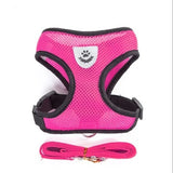 Adjustable Leash for Cat or Dog