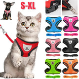 Adjustable Leash for Cat or Dog
