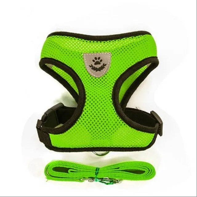 Adjustable Leash for Cat or Dog