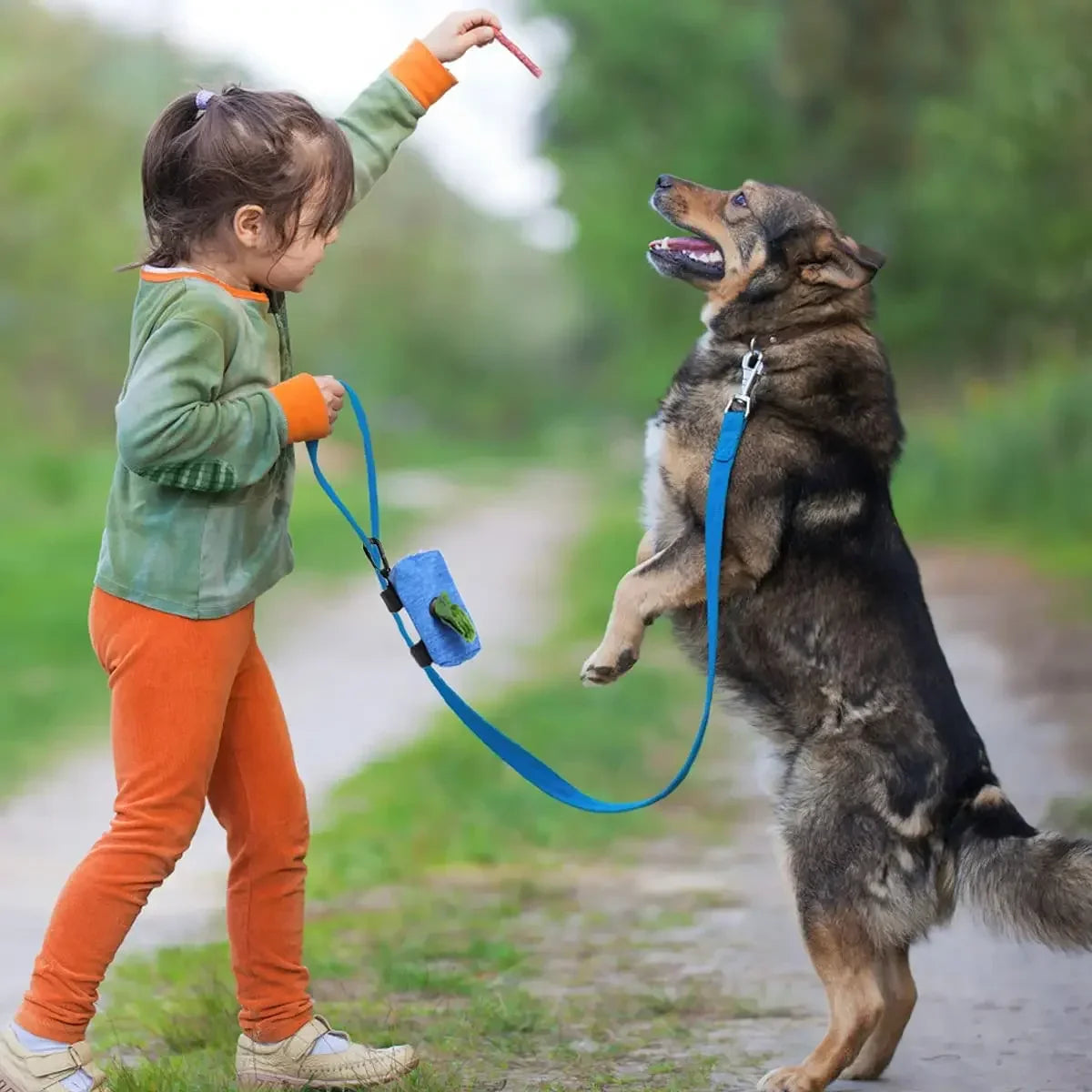 Dog Poop Bag Dispenser