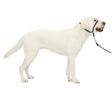 Petsafe Gentle Leader® Headcollar, No-Pull Dog Collar Black Large