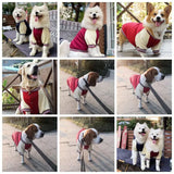 Big Dog Baseball Suit