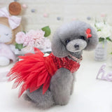 Sequin Bow Party Dress for Small Dogs Formal Dance Outfit All Sizes