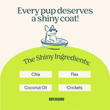 Skin & Coat Health