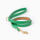 Spring Leash