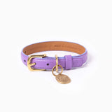 Fairy Collar