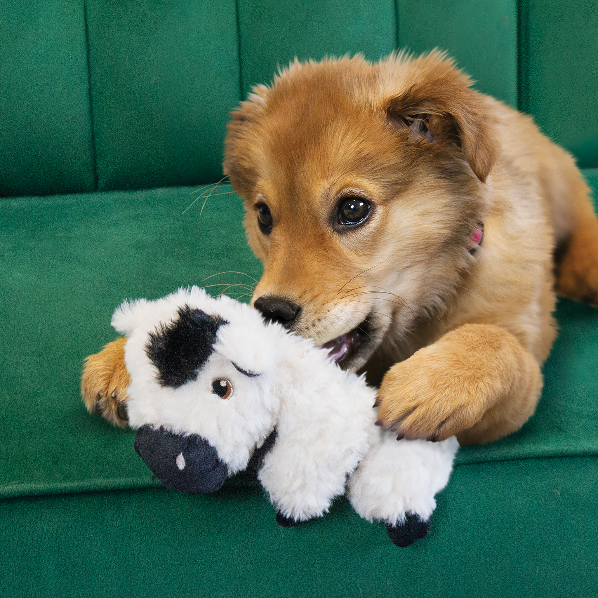 Kong Comfort Tykes Cow