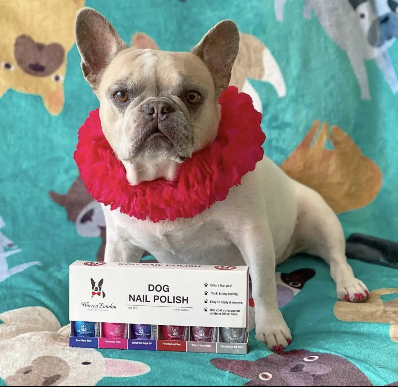 Warren London Dog Nail Polish 6 Pack Bright Colors Long Lasting Coverage