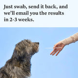 Wisdom Panel Essential Dog DNA Kit – Breed, Health & Trait Insights