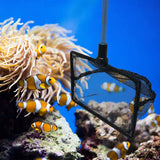 2.5 Inch Fish Net for Fish Tank