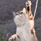 2 Pcs Pearl Collar and Leash for Dogs