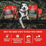 Wild Red Dry Dog Food Raw Coated High Protein Grain & Legume Free Red Meat Recipe, 1 Lb. Bag