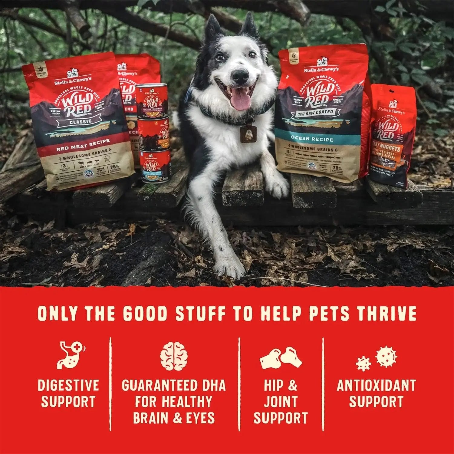 Wild Red Dry Dog Food Raw Coated High Protein Grain & Legume Free Red Meat Recipe, 1 Lb. Bag