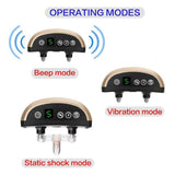 Electronic Dog Training Device With Electric Shock Collar And Screen