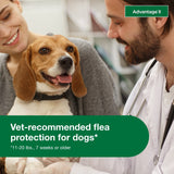 Vet-Recommended Flea Prevention for Medium Dogs 11-20 Lbs, 6-Monthly Treatments
