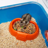 Combi 2 Starter Hamster Cage | Includes Accessories | 31.3L X 11.61W X 10.35H Inches, Blue