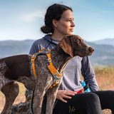 Journey Air Dog Harness, Vest Harnesses for Dogs, Pet Hiking Harness for Running & Walking, Reflective, Padded, Includes Control Handle, No Pull Front Clip (Orange, Small)