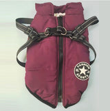 Simple And Creative Autumn And Winter Clothes For Pets