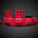 BESTIA DOG SPORT Weighted Dog Training Collar