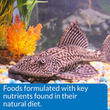 ALGAE EATER WAFERS Algae Wafer Fish Food