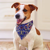 Blue Imperial Dragon Pet Scarf