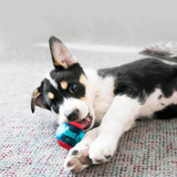 KONG Squeezz Action Shapes Small Red Dog Toy Multi Textured Fetch Squeaker