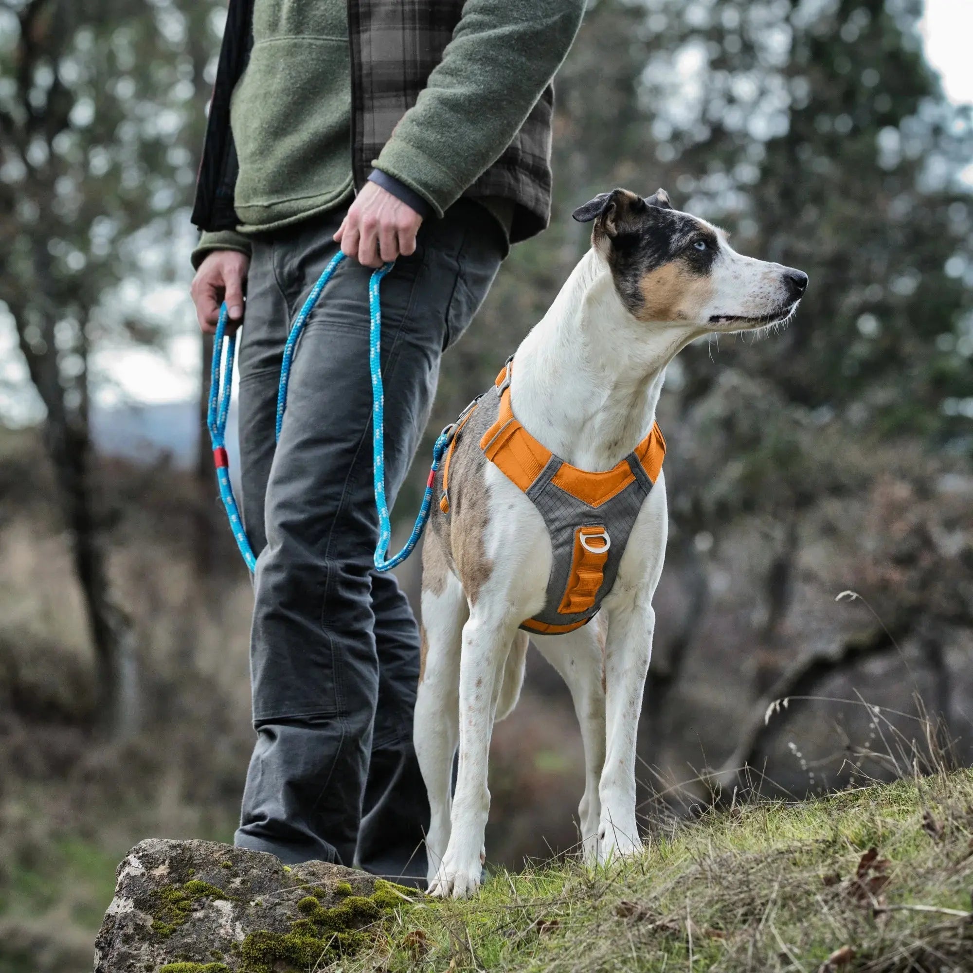 Journey Air Dog Harness, Vest Harnesses for Dogs, Pet Hiking Harness for Running & Walking, Reflective, Padded, Includes Control Handle, No Pull Front Clip (Orange, Small)