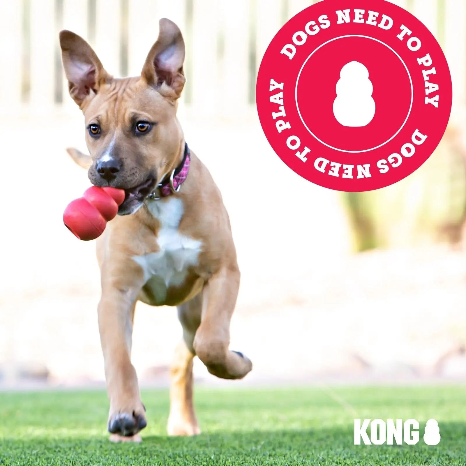 KONG - Tug - Durable Stretchy Rubber, Tug of War Dog Toy - for Medium Dogs