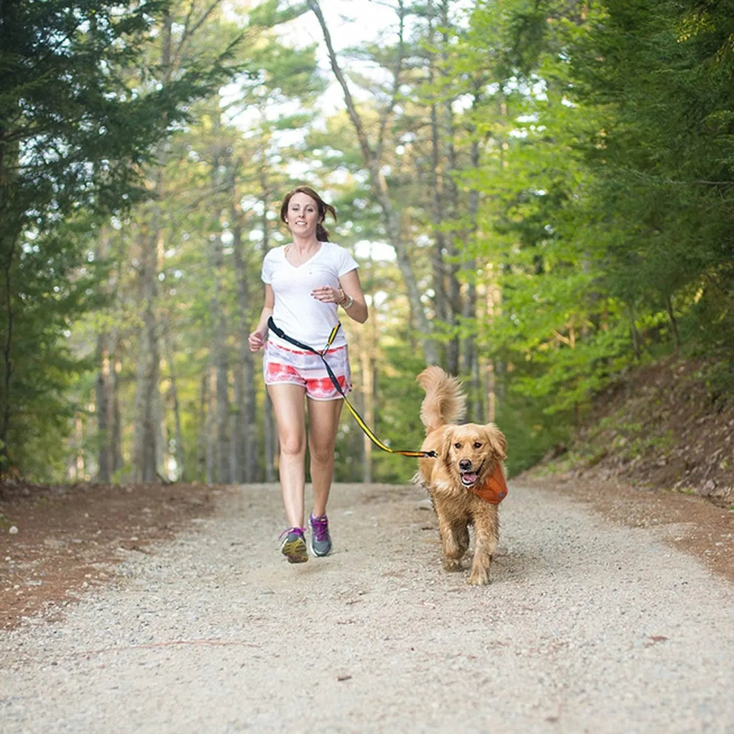 6 in 1 Hands Free Dog Leash | Reflective Running Belt Leash for Dogs | Crossbody & Waist Belt Leash | Carabiner Clip | Padded Handle for Training, Hiking or Jogging | Quantum Leash | 6 Colors